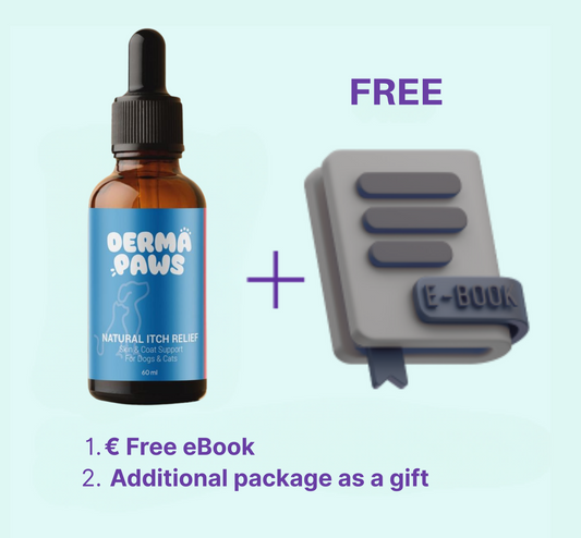 1x eBook