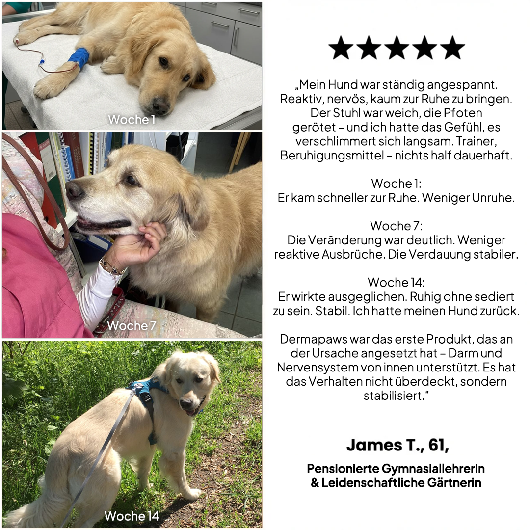 DermaPaws – Von Tierärzten empfohlene Tropfen zur Unterstützung bei Darmfunktionsstörungen &  Linderung von Juckreiz