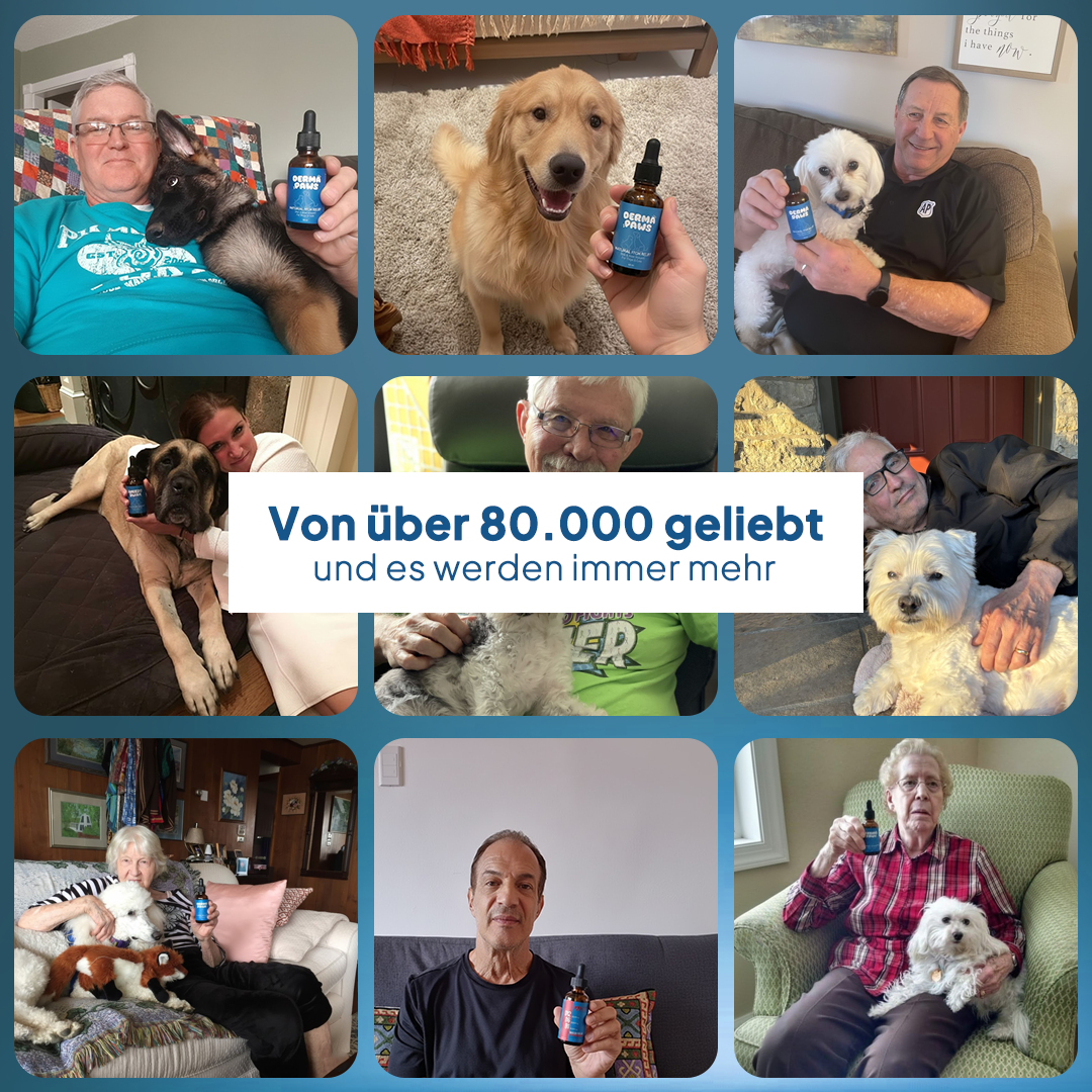DermaPaws – Von Tierärzten empfohlene Tropfen zur Unterstützung bei Darmfunktionsstörungen &  Linderung von Juckreiz
